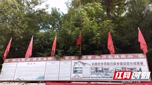 图片 4_副本.png