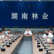 全省候鸟保护工作视频会议在长沙召开