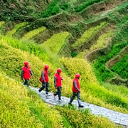 双节我在岗丨娄底供电圆满完成“双节”保电工作