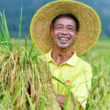 把推进乡村全面振兴作为新时代新征程“三农”工作的总抓手