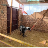 “驻村包点”救援工作全面展开