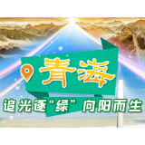 迈出新步伐|青海:追光逐“绿” 向阳而生