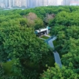 候鸟翔集、河林入城、串园连趣……群众享受更多蓝天白云、绿水青山