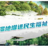 海报｜西溪湿地：和谐共享的“城市绿芯”