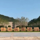 从数据看中国经济:激发消费潜能 释放发展活力