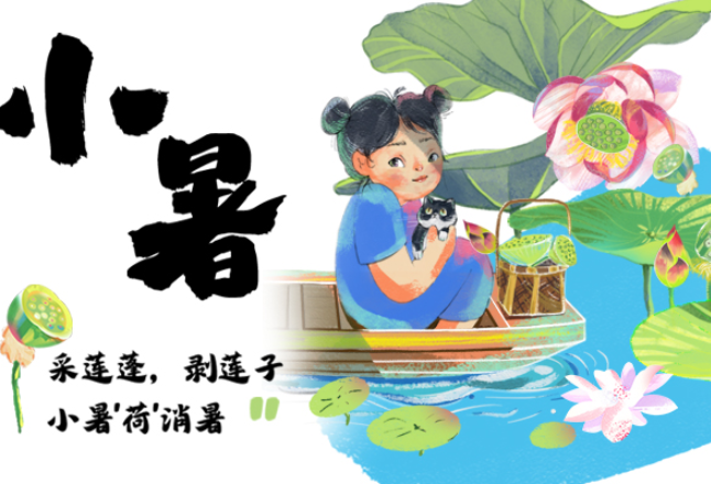 朝朝说节气丨小暑：采莲蓬 剥莲子 小暑“荷”消暑
