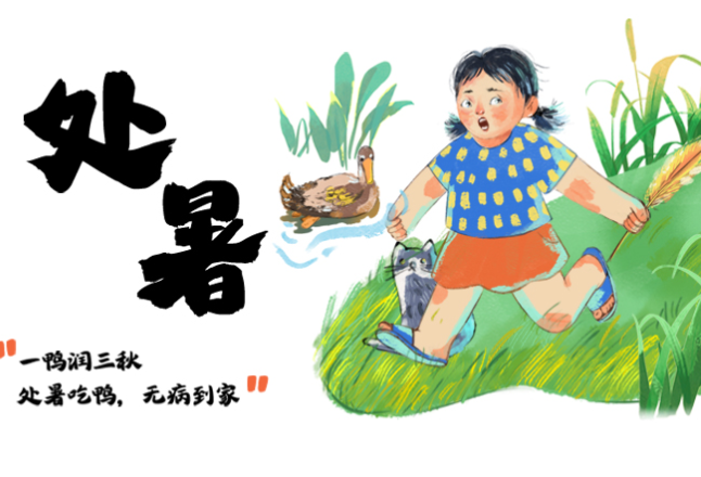 朝朝说节气丨处暑：一鸭润三秋 处暑吃鸭 无病到家