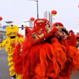 “00后”小“雄狮”呆萌贺新春