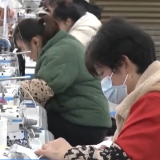 活力中国丨跨境电商主体10万+ 销售网覆盖220多国和地区 中小企业出海闯出新商机