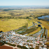 一号文件里的“三农”脉动