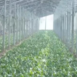 保供暖、保出行、保“菜篮子” 大范围雨雪来袭 各地积极应对保民生