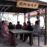 代表委员履职故事｜全国人大代表李丹丹：优化社区助老服务 让老年人“老有所养”