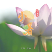 小暑，长虹卧波桥见未来丨小羊拍客·四季岭南