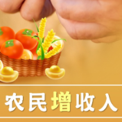 中央一号文件全面部署推动三农实现“三增”