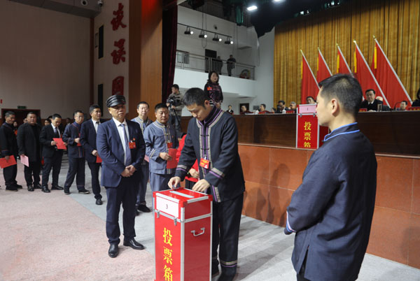 投票.jpg