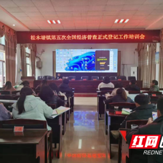 桃江县松木塘镇举行第五次全国经济普查登记工作培训会议