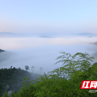 泡在安化volg⑤｜沉醉安化山野间——天然氧吧 
