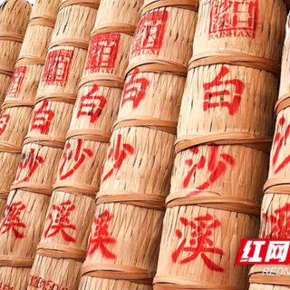 泡在安化vlog①｜寻找白沙溪里的黑茶韵味