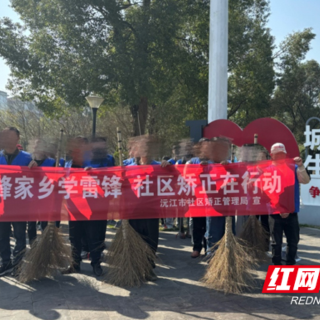 沅江：雷锋家乡学雷锋 社区矫正在行动