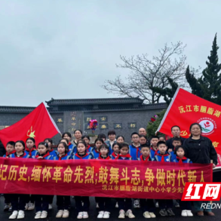 沅江市胭脂湖街道中心小学清明祭扫