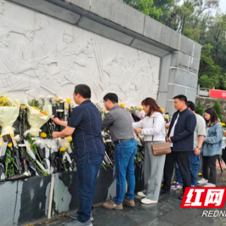 赫山区泉交河镇：赓续红色血脉，缅怀先烈精神