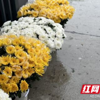 大通湖区：鲜花换纸钱 “唤”出祭祀新风尚