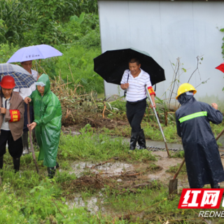 赫山区兰溪镇：发挥党员先锋模范作用 筑牢防汛安全堤坝