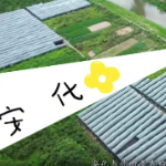 “益”起游安化 邀你一起摘果尝秋