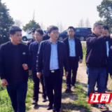 益阳：“三三”工作法促推自然资源 保障服务能力提升