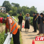 赫山区衡龙桥镇：人大代表监督视察  助力民生实事办出“加速度”