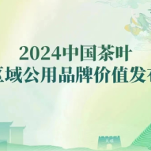 2024中国茶叶区域公用品牌价值评估结果发布 安化黑茶位列前十