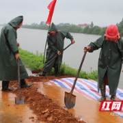 防汛一线｜赫山区欧江岔镇：未雨绸缪  加固抢修河堤