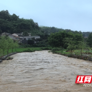 桃江县武潭镇：未雨绸缪！杉树村村委筹资80万修建防洪堤成功防灾