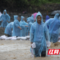 “汛”聚青年之力 洪流中尽显担当