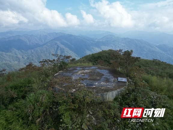 11.marked.jpg 11.marked.jpg