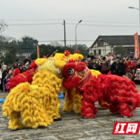 文约清溪闹元宵，民俗古韵意味长。舞龙舞虾蚌舞齐上阵，超嗨超有料！