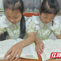 赫山区兰溪镇：书香入户暖童心 携手“共读一本书”