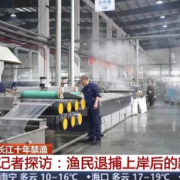 央视看沅江 | 渔民退捕上岸后的新生活