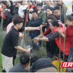 “马上”去野！——桃江牛田镇三塘湾花田竞逐记