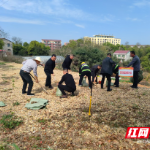 资阳区开展2026年水库事故应急暨山洪地质灾害避灾演练