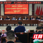 灰山港镇:以“挺抢”破局政企共商高质量发展