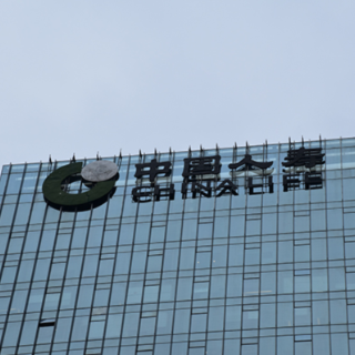 上市二十年 寿险头雁如何释放“人才引擎”持久动能？