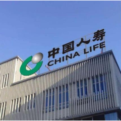 中国人寿寿险公司开展防范非法集资宣传月活动 为百姓筑牢金融安全“防火墙”