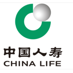 向下扎根、向上生长  保险草根的“险途”逆袭