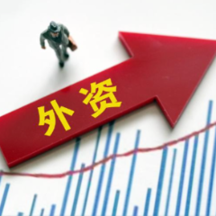 亮目标出真招　地方吸引外资早布局