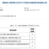 A类占半壁江山  湖南小贷、融资担保机构评级结果出炉