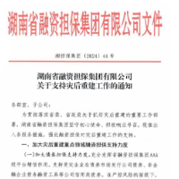 湖南省融资担保集团推出八条服务举措 支持灾后重建