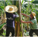 防减救赔！中国太保全力迎战台风“摩羯”