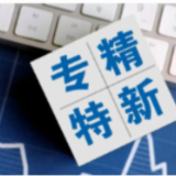 力挺专精特新中小企业 更多政策举措加快制定