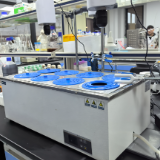 长沙银行千企万户大走访 | 麦肯伟:一个微生物“发酵”出的创业梦